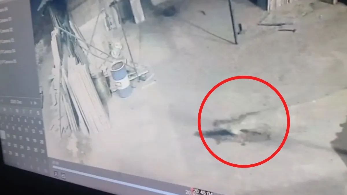 नूह के एक घर में संदिग्ध जानवर दिखने से दहशत, सीसीटीवी में कैद हुई जानवर की हरकतें