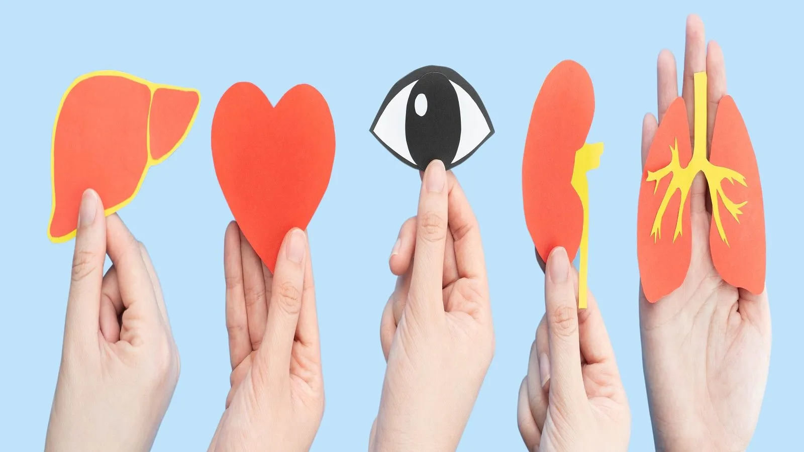 हरियाणा के युवा ने ऑर्गन डोनेट कर पांच लोगों को दिया जीयदान