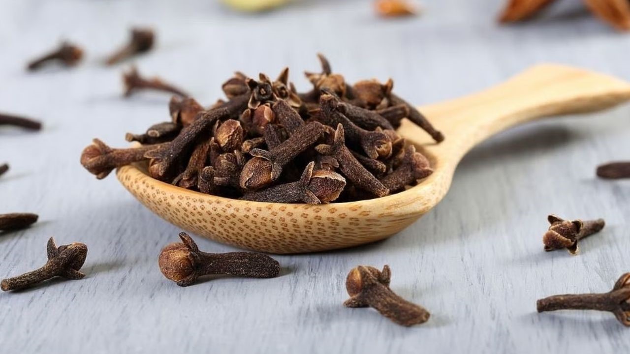 Clove Benefits : दिखने में छोटी..नाम इसका लौंग..तो जानिए सोने से पहले लौंग खाने के लॉन्ग फायदे